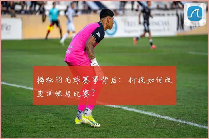 揭秘羽毛球赛事背后:科技如何改变训练与比赛?