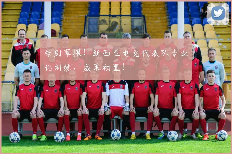 告别草根!新西兰电竞代表队专业化训练,成果初显!