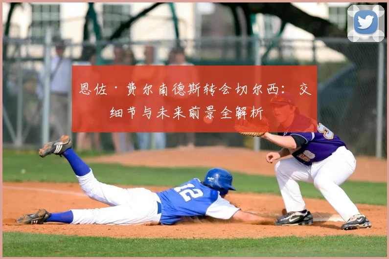 恩佐·费尔南德斯转会切尔西：交易细节与未来前景全解析