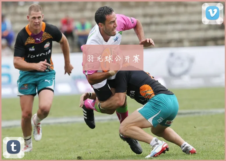 羽毛球公开赛