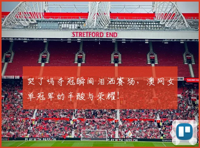 哭了吗夺冠瞬间泪洒赛场,澳网女单冠军的辛酸与荣耀!