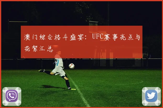 澳门综合格斗盛宴:UFC赛事亮点与花絮汇总