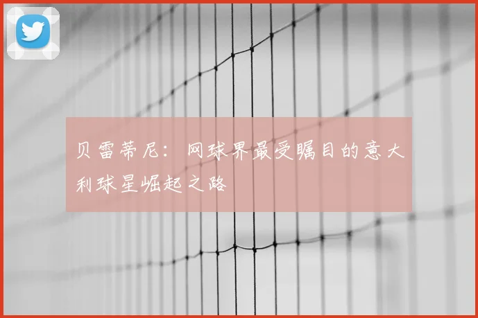 贝雷蒂尼:网球界最受瞩目的意大利球星崛起之路