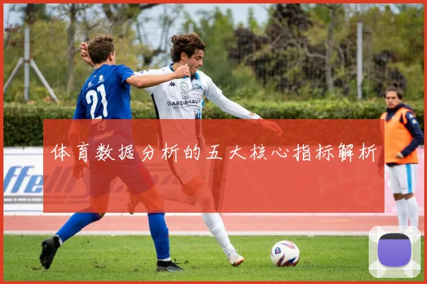 体育数据分析的五大核心指标解析